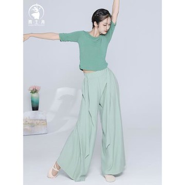 舞主角秋冬現代舞練功服裝女舞蹈生成人飄逸舞蹈服中國古典舞上衣