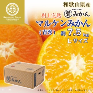 [予約 11月25日-12月31日の納品] マル賢みかん 青秀 約 7.5kg Lサイズ 樹上完熟 マルケン 和歌山県 高品位 冬ギフト お歳暮 御歳暮