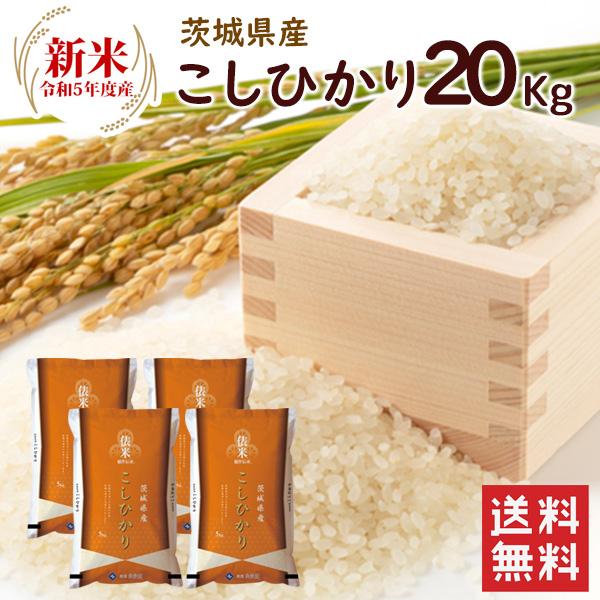 新米 茨城県産 コシヒカリ 20kg（5kg×4袋）  送料無料 令和5年産 精米 お米 米 茨城県産 20kg（北海道・沖縄別途送料）（配達日・時間指定は不可）