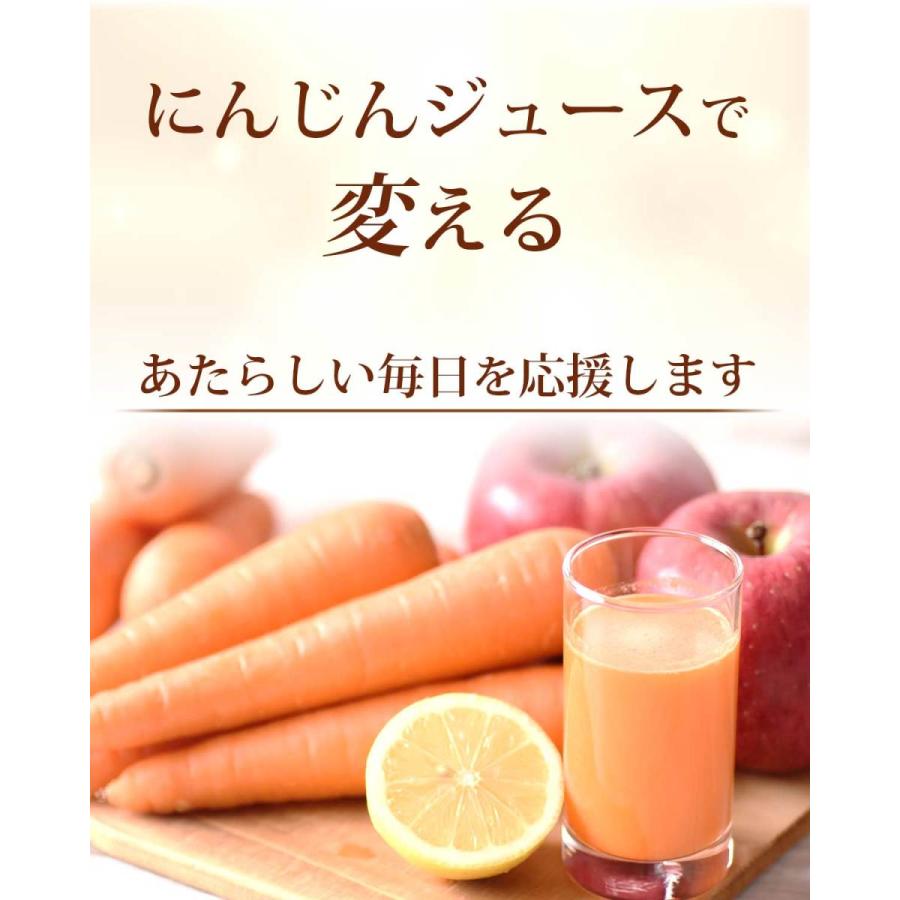 人参 無農薬にんじん 野菜セット 無農薬野菜 にんじんジュース ジュース用 8kg＋りんご3kg＋レモン1kg ゲルソン療法にも最適 訳あり