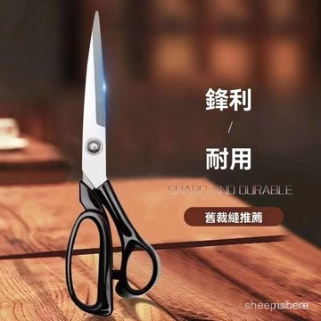 🚀臺灣12H🚀剪布剪刀 剪刀 剪布刀 裁縫剪刀 專業裁縫剪刀 裁布 裁剪 縫紉專用 服裝剪子 裁線剪刀 D53L