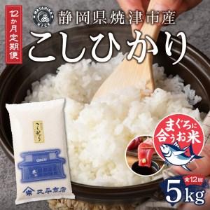 ふるさと納税 b12-022　定期便12回 令和5年産新米 マグロに合う焼津のお米 こしひかり 5kg  静岡県焼津市