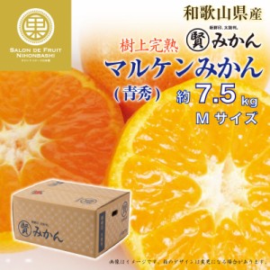 [予約 12月1日-12月20日の納品] マル賢みかん 青秀 約 7.5kg Mサイズ 樹上完熟 マルケン 和歌山県 冬ギフト お歳暮 御歳暮