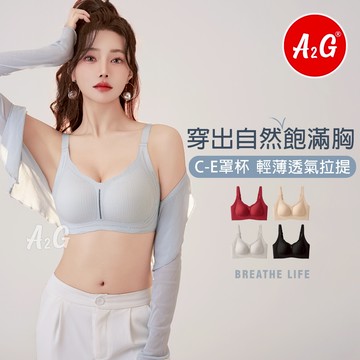 【A2G】隔日到貨【吸濕排汗、無鋼圈內衣】  完美彈力貼身 肩帶可調 穿出自然胸型 運動內衣 23133