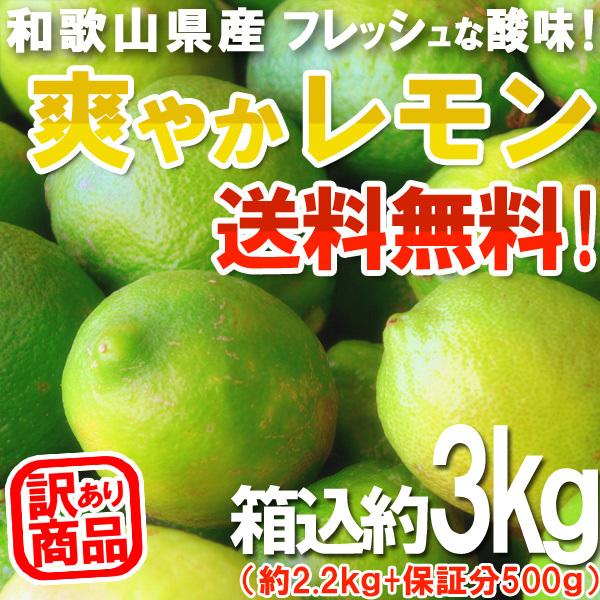 レモン 3kg（箱込約3kg）国産 訳あり・ご家庭用 送料無料（東北・北海道・沖縄県除く）（配達日指定不可）