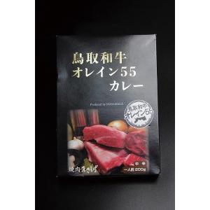 ふるさと納税 鳥取和牛オレイン５５カレー　１０個セット 鳥取県倉吉市