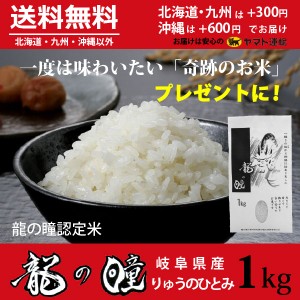 新米 龍の瞳 1kg　岐阜県産 令和5年産米 白米 プレゼントに最適 ご注文後に精米・発送 送料無料（一部地域除く）