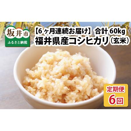 ふるさと納税  本原農園のまごころコメた 福井県産 コシヒカリ 10kg × 6回 計60k.. 福井県坂井市