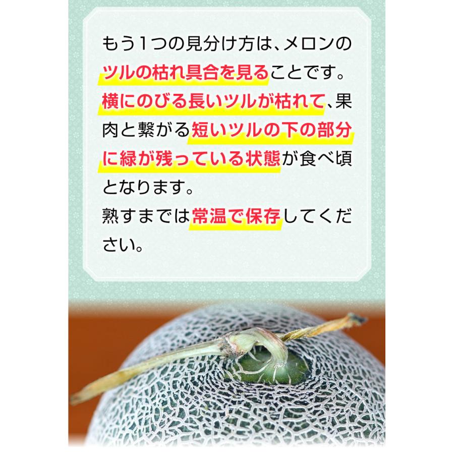 御中元 九州  メロン アールスメロン 秀品 ２L ２玉 熊本県産 温室 送料無料 高級メロン 産直 フルーツ 果物 甘い S常