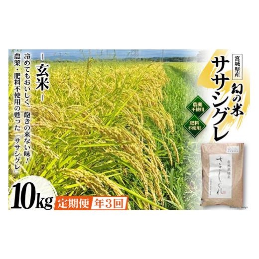 ふるさと納税 宮城県 加美町 3回 定期便 希少品種米 ササシグレ 玄米 10kg×3回 総計30kg   長沼 太一   宮城県 加美町