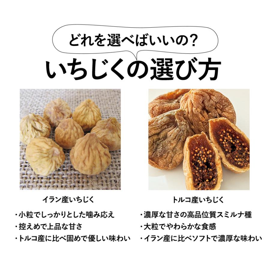 無添加 生いちじく（ドライタイプ）100g イラン産 食物繊維 ミネラル 農薬不使用 添加物・保存料一切なし おつまみ ドライフルーツ