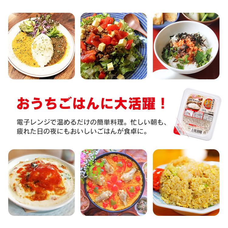 パックご飯 180g×10食パック アイリスオーヤマ レトルトご飯 パックごはん 低温製法米 お米 非常食 防災 仕送り 国産米