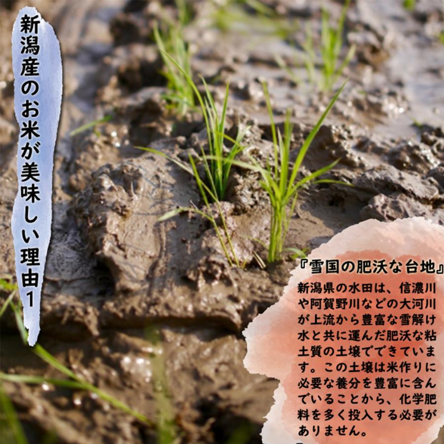 食味値上位厳選米 令和5年 新潟県 新潟米 佐渡産コシヒカリ 白米10kg（5kg×2袋）「新潟三大銘柄」の一つ佐渡産コシヒカリ