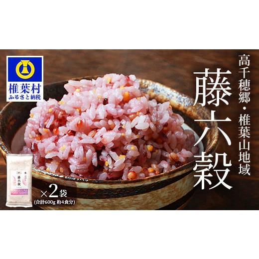 ふるさと納税 宮崎県 椎葉村 藤の花色に染まる美しい六穀米《藤六穀》300g×2袋