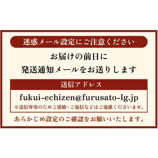 ふるさと納税 福井県 越前町 越前がに本場の越前町からお届け！ 越前がに 浜茹で 特大サイズ（生で1.3kg以上） × 1杯【福井県 越前町 雄 ズ…