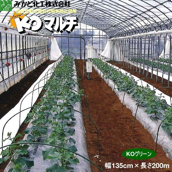 みかど化工 KOマルチ　グリーン（KOG）緑　厚み0.02mm　幅135cm×長さ200m　無孔　3本セット