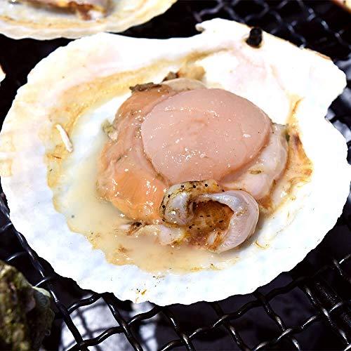 ホタテ片貝 20枚 殻付き 北海道産 BBQ 浜焼き 帆立 ほたて 片貝 貝柱 バーベキュー