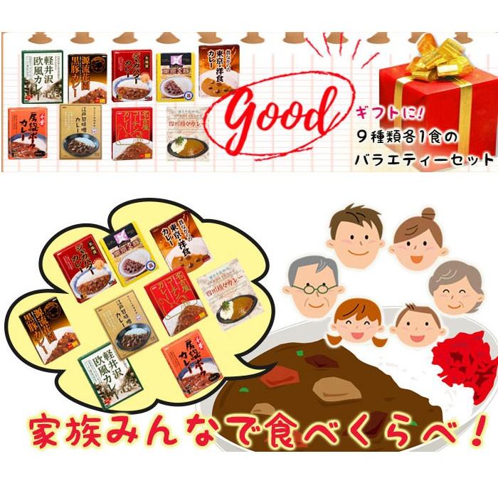 レトルトカレー 東日本 ご当地 9種類 詰め合わせセット 2023お取り寄せギフトセット 食品
