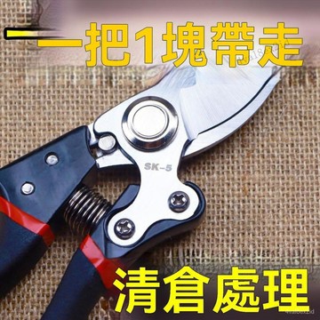 原裝日本VVT進口SK5強力園藝修枝剪新款園林家用省力款花枝園藝剪 XPJS
