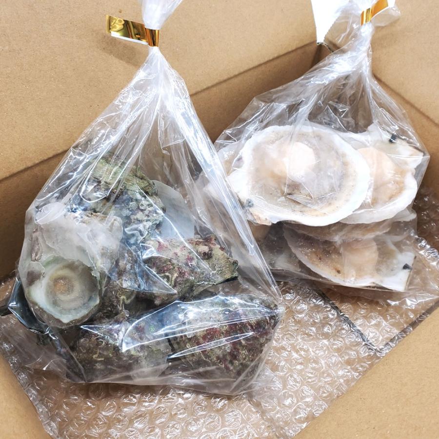 （送料無料）国産ホタテ（片貝）とサザエの海鮮バーベキューセット（冷凍）