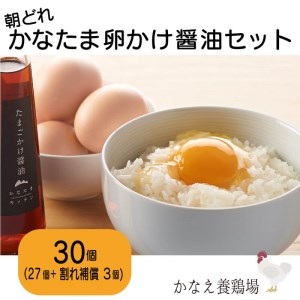 卵 鶏卵 たまご 新鮮 30個 たまごかけ醤油セット 朝採れ たまご 朝食 たまご セット 新鮮 タマゴ