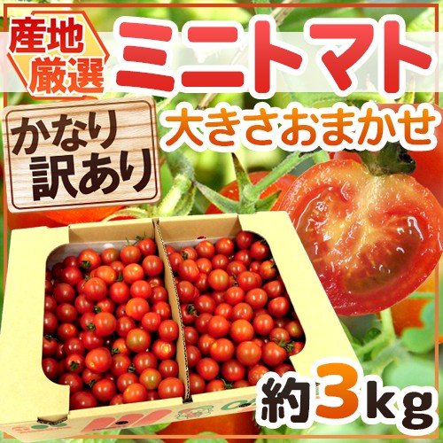 ”ミニトマト” かなり訳あり 約3kg 大きさおまかせ プチトマト 茨城産 熊本産 北海道産など産地厳選