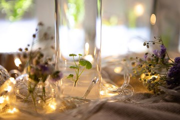 【小葉銅錢草】 水生植物瓶栽 銅錢葉片迷你又討喜