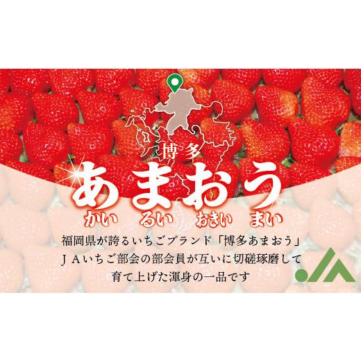 ふるさと納税 福岡県 行橋市 AT-003　博多あまおう4パック(冬)『1〜2月発送』