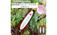 レモンビーツ酢 果実酢ビネガー ボトル2本(600ml) 健康 美容 スーパーフード