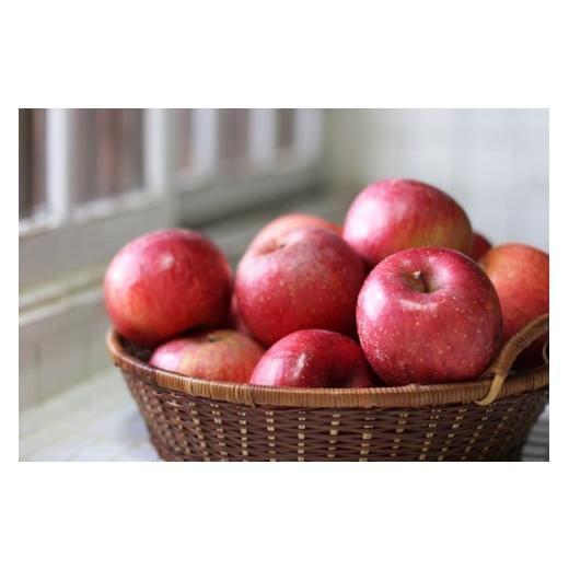 ふるさと納税 青森県 五所川原市   旬の美味しい りんご 約 5kg 青森 産 