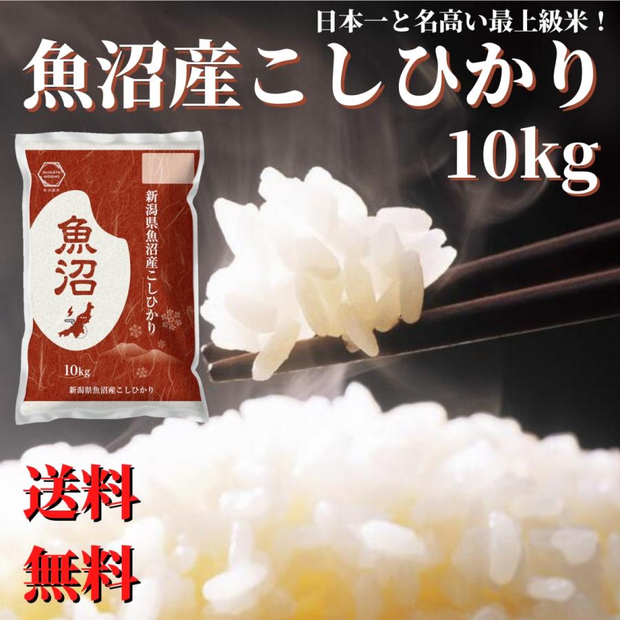 新米令和５年産 魚沼産 コシヒカリ 10kg 送料無料