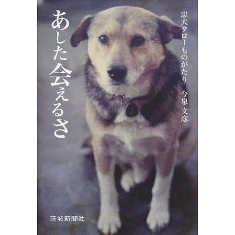 あした会えるさ 忠犬タローものがたり / 今泉 文彦 / 茨