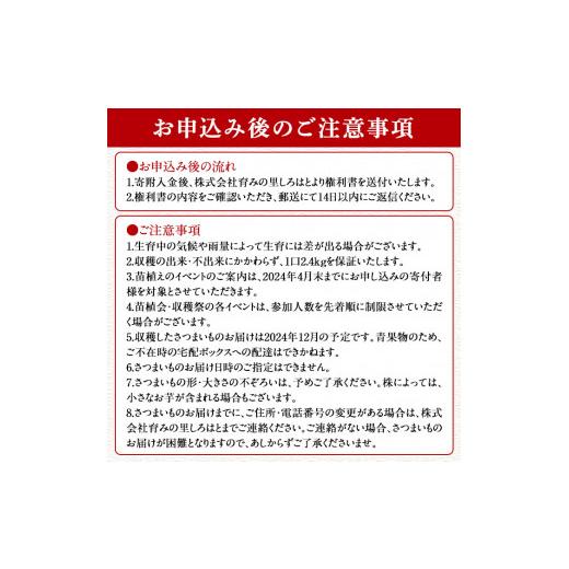 ふるさと納税 宮崎県 三股町 MI106 ＜先行予約受付A＞2024年度おいも株オーナー制度1口セット 霧島紅かぐら(2株・最低2.4kg保証)2024年12月中旬頃…