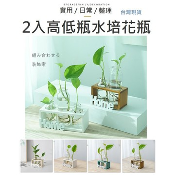 【台灣現貨】2入玻璃花瓶 玻璃花瓶 花瓶 造型花瓶 水培花瓶 透明花瓶 插花花瓶 花器 園藝 家居擺飾 裝飾 園藝花瓶
