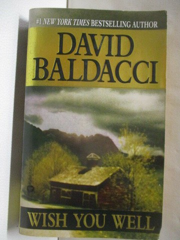 【書寶二手書T7／原文小說_CNP】Wish you well_David Baldacci