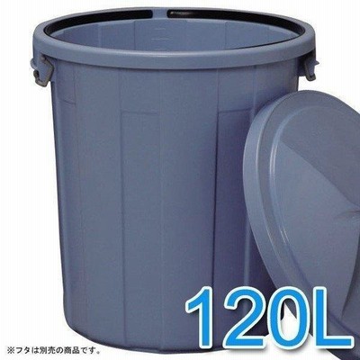 ゴミ箱 屋外 ごみ箱 120L アイリスオーヤマ (代引不可) (大型宅配便