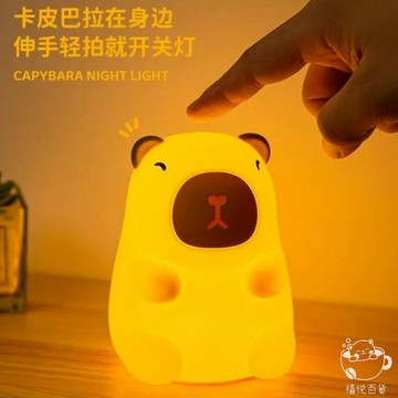 【台灣現貨】小夜燈 水豚小夜燈 小禮物 豚鼠硅膠 創意禮物 擺件 氛圍燈 夜燈 豚鼠燈 臥室燈 床頭燈 療愈小物