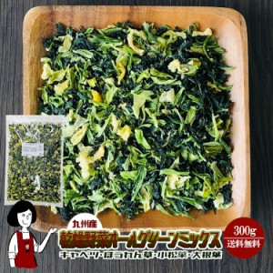 乾燥野菜オールグリーンミックス300g〔チャック付〕／九州産 乾燥野菜 キャベツ ほうれん草 小松菜 大根葉 メール便 送料無料 チャック付