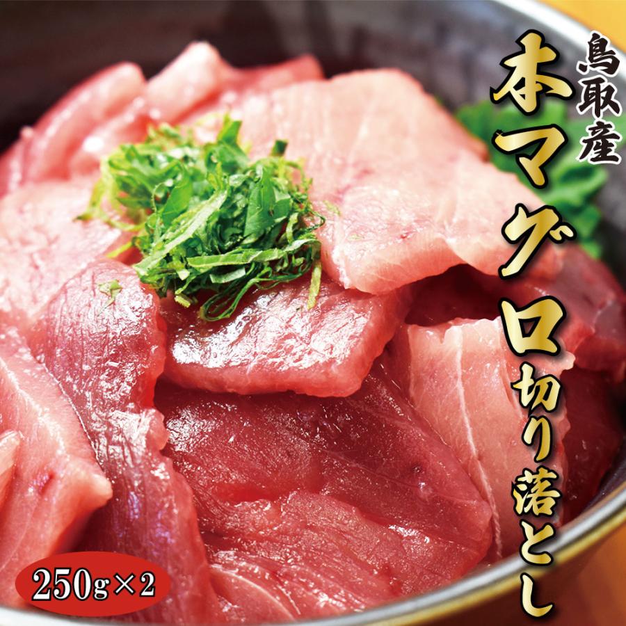 本マグロ トロ 赤身 国産 250ｇ×2パック  とろ 鮪 本まぐろ まぐろ 刺身 鮪 切り落とし 鳥取産 冷凍刺身 冷凍マグロ 送料無料