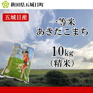 ふるさと納税 五城目産　一等米・あきたこまち10kg（精米） 秋田県五城目町