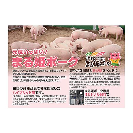 ふるさと納税 まる姫ポーク ロース 生姜焼き用・切り落とし 2.5kg 島根県江津市