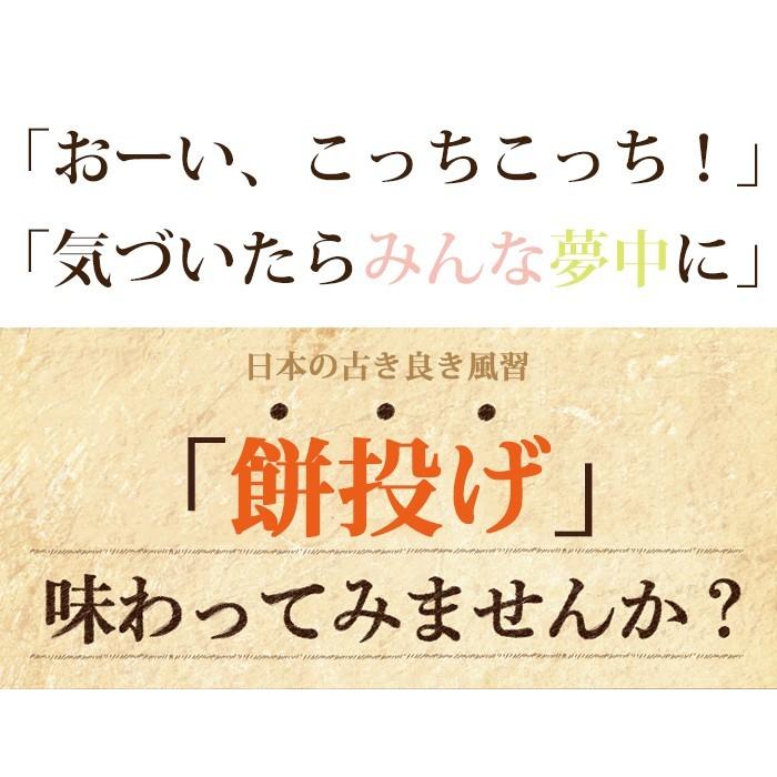 紅白餅 投げ餅 餅まき 餅投げ 上棟式 棟上げ 杵つき 約12kg 送料無料