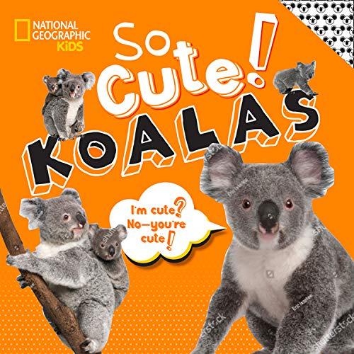 So Cute! Koalas (So Cool So Cute)