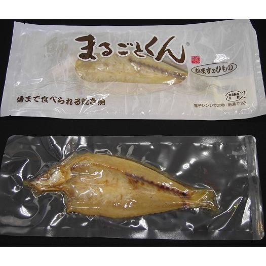 まるごとくん　カマスの干物（化粧袋入り）　1枚