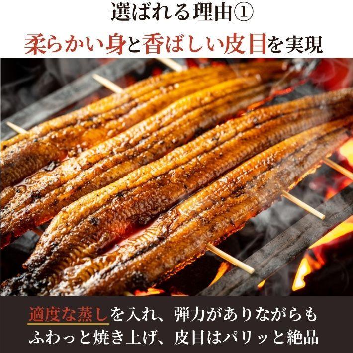 高知県産 うなぎ 蒲焼き 国産 2尾 完全無投薬 仁淀川 誕生日 ギフト 贈答