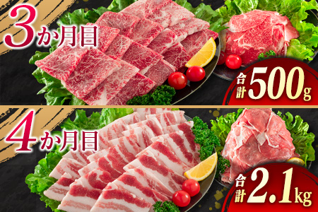 5か月 お楽しみ 定期便 牛肉 豚肉 月替わり 堪能 セット 総重量5.6kg 肉 牛 豚 国産_I25-23-A