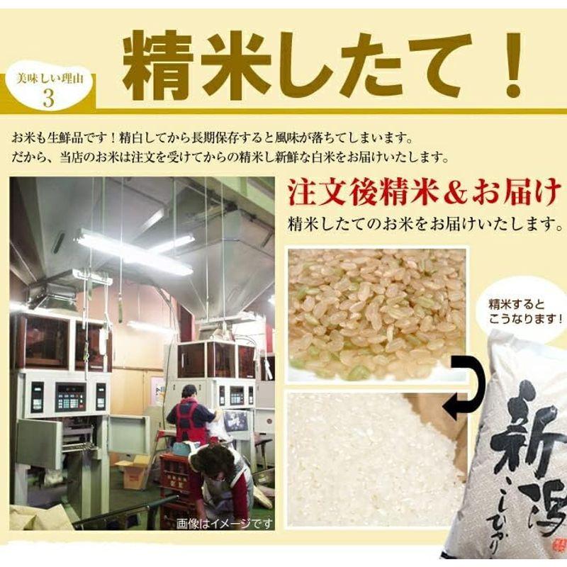 新潟産 コシヒカリ 5kg 新潟県産 5キロ お米 令和4年 新米 精米 白米