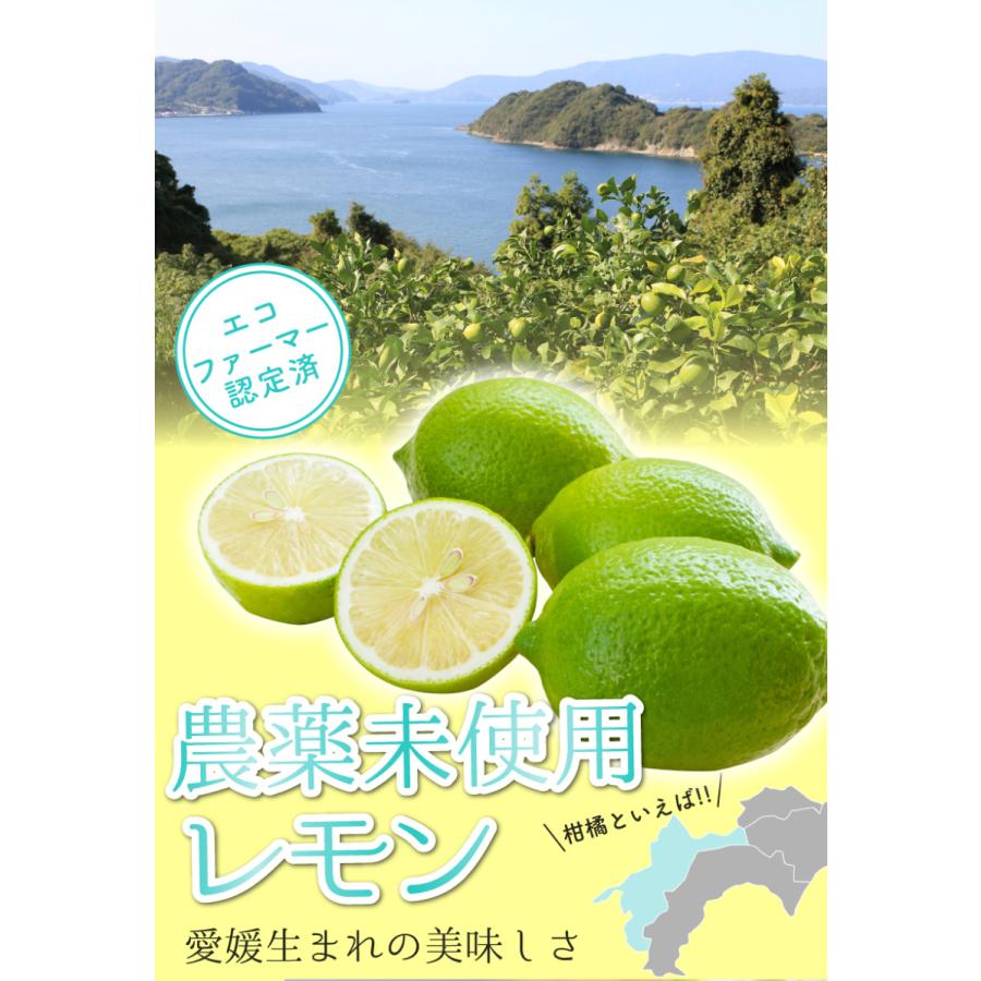 訳あり 国産 無農薬 レモン 5kg 愛媛 大三島 又は 広島 瀬戸内 ore