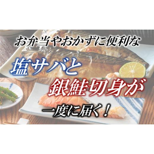 ふるさと納税 福岡県 新宮町 AB346.バラ凍結で便利！塩さば＆銀鮭ミックス（合計約2.5kg）