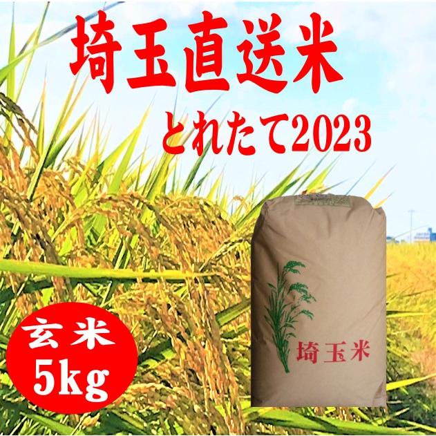 とれたて2023　 玄米5kg　送料無料　埼玉直送の米